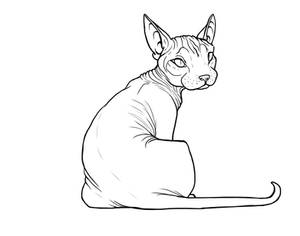 Sphynx Lineart