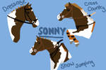 Windfall Mini Show-Sonny by DreamingOfHorses67