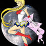 Sailor Moon SS