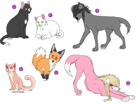 5 Point Adoptables open