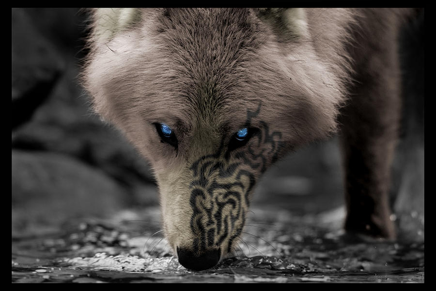 Deep Look by ValinIsDakki on DeviantArt