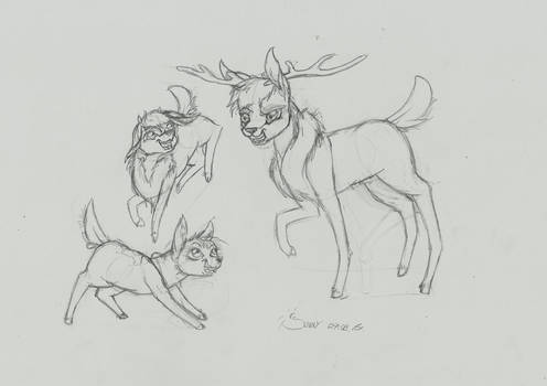 Deers