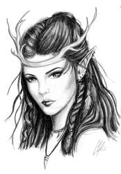 picture Female Elf Drawing Reference female elves half elves eladrin on