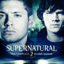 Supernatural Season 02 Poster