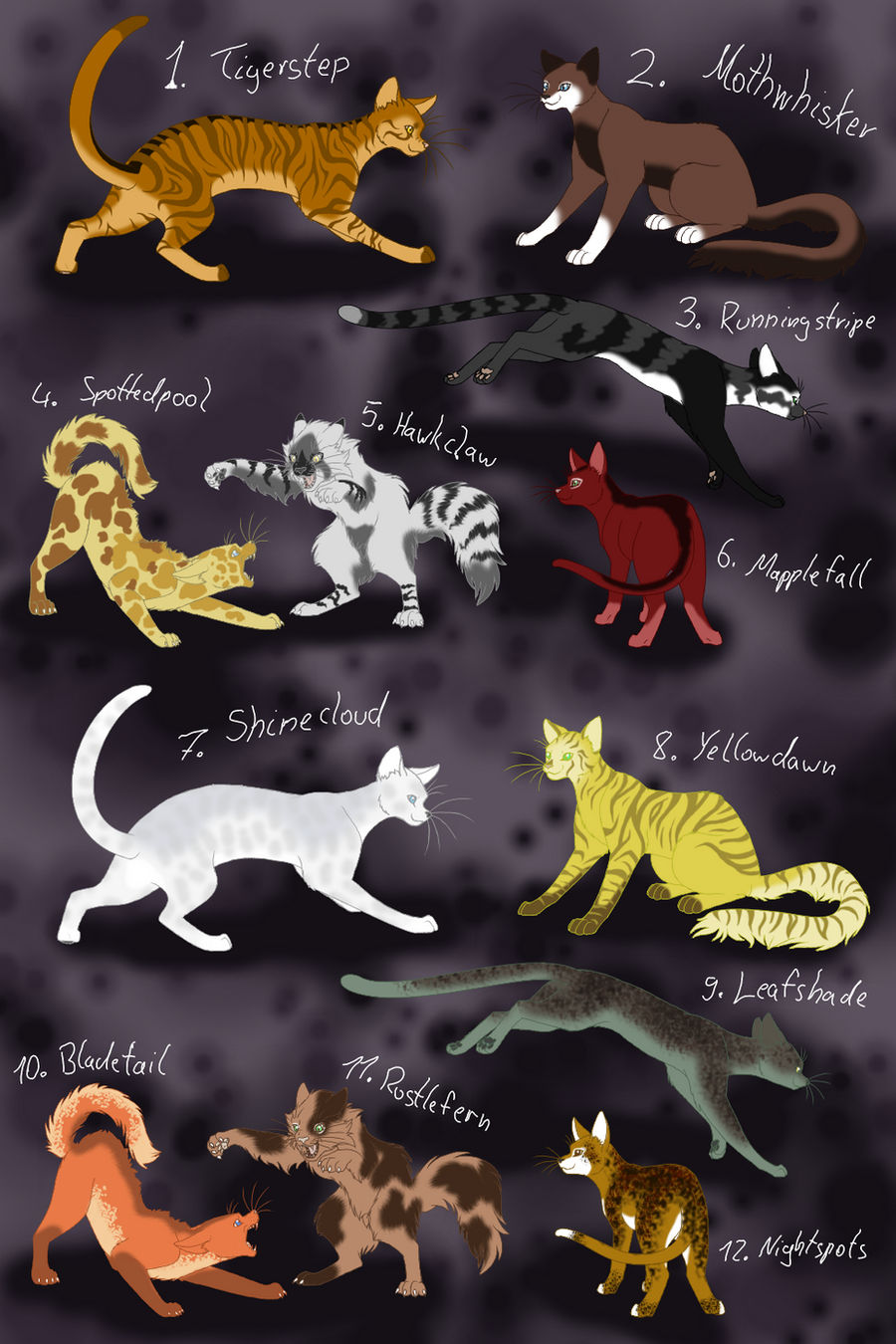 Warrior Cats by Kityote on DeviantArt
