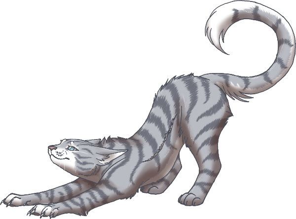 Jayfeather by meow286.deviantart.com on @DeviantArt