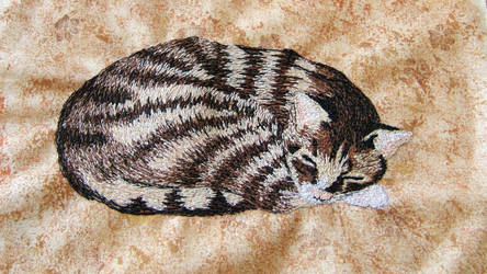 Stitched Tabby Portrait