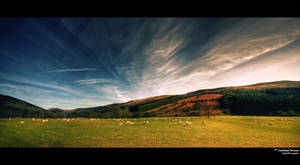 Valley of Woolly Jumpers