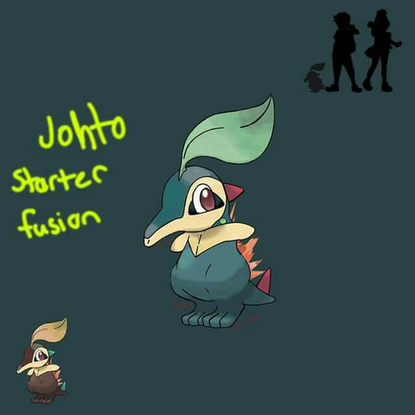 Funism Starters Johto Starters Fusion by DarkyLights on DeviantArt