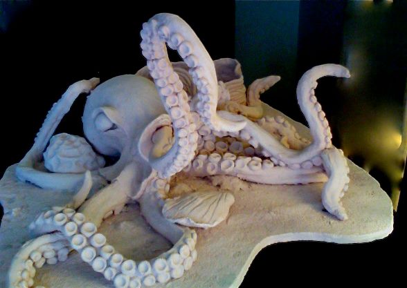 octo