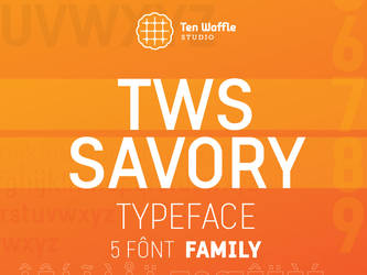 TWS Savory typeface