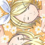 Sleeping Daisies