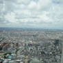 Aerial View of Tokyo 7