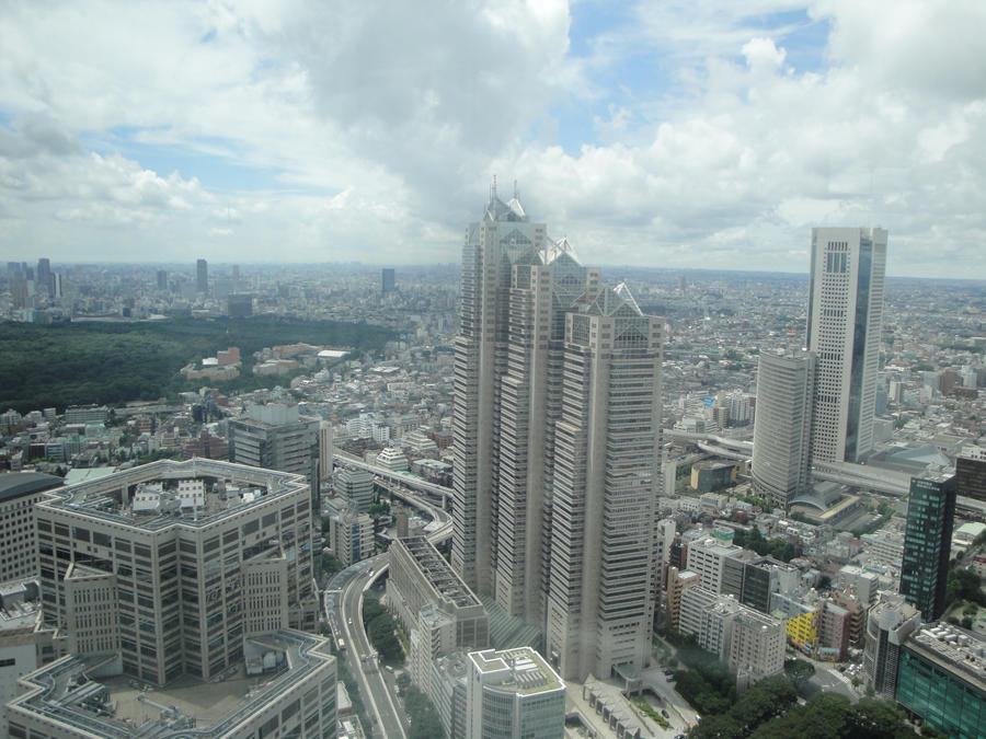 Aerial View of Tokyo 8