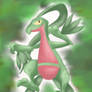 Grovyle