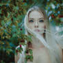 Zuzanna