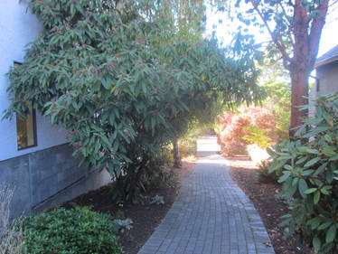 Walkway1