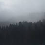 Norwegian Fog IIII