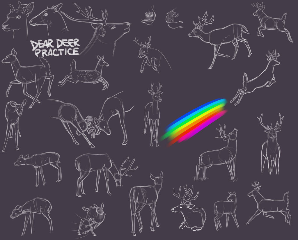 Rainbow, and some deer practice