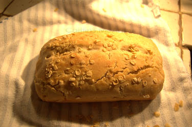 Sourdough bread, round two.