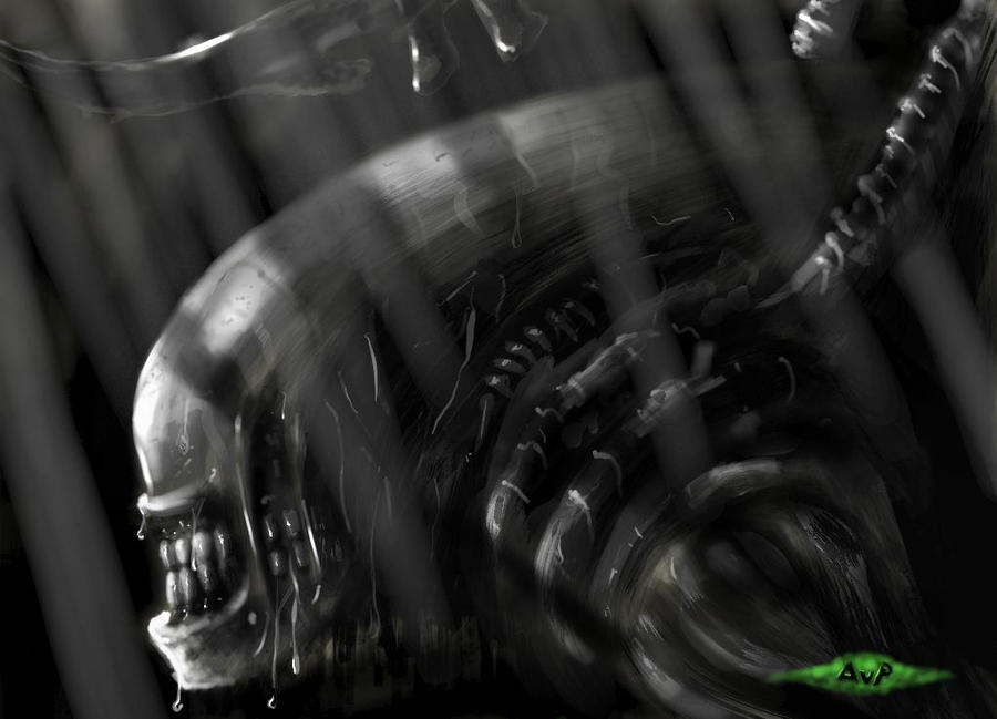 Alien Vsp alien AvP by Iggy-design on DeviantArt