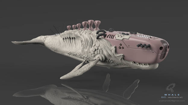 Biomechanical whale