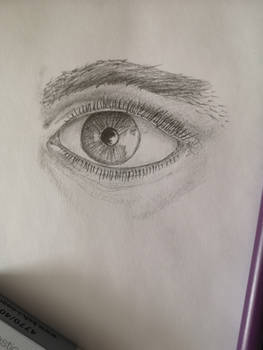 Eye study