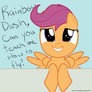 Scootaloo Webcam