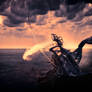 WindWarrior