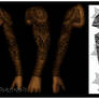 tribal full sleeve