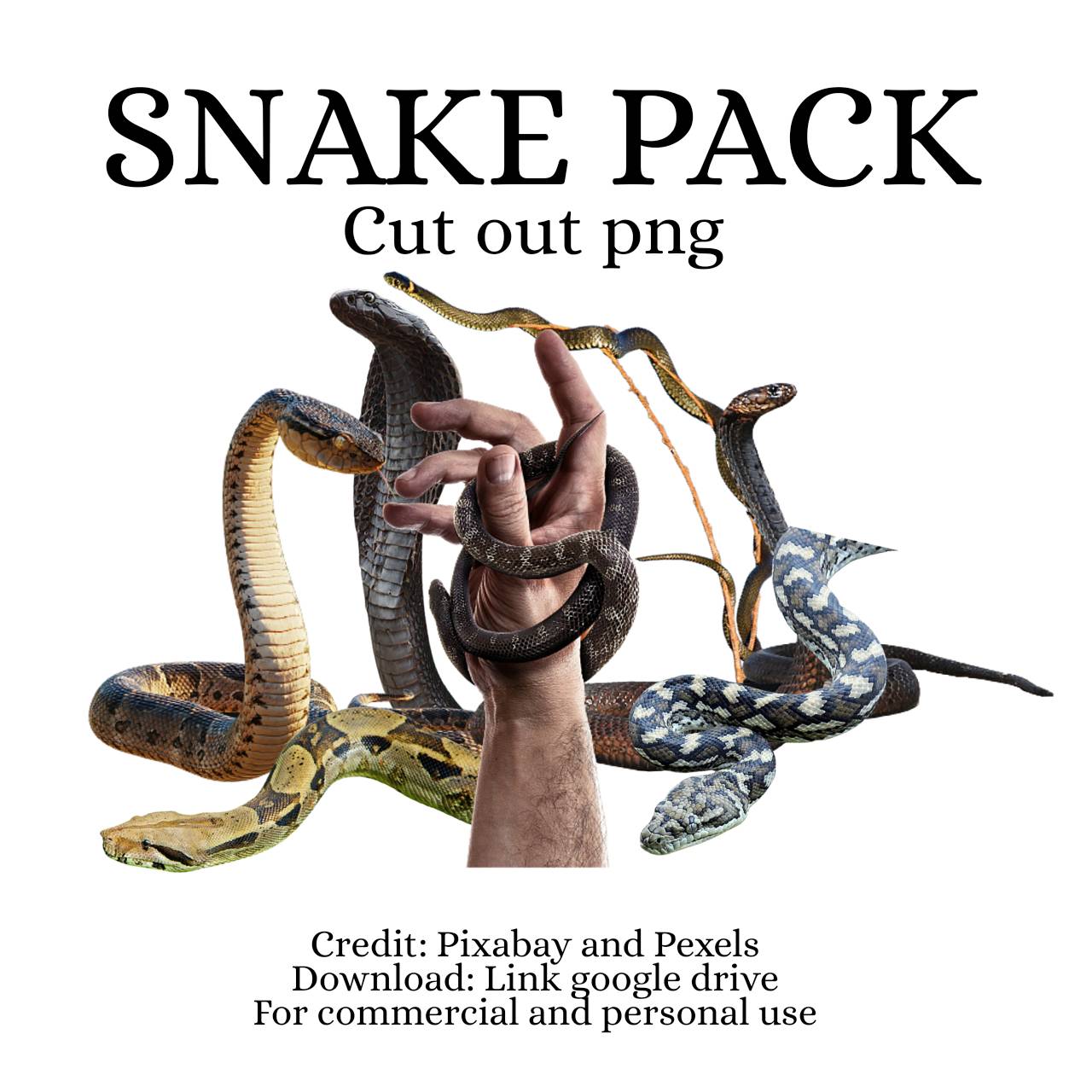 Google Snake #7 