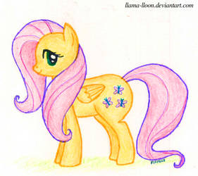 MLP FiM - Fluttershy