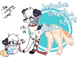 Australian shepered based Eggpups auction [CLOSED]