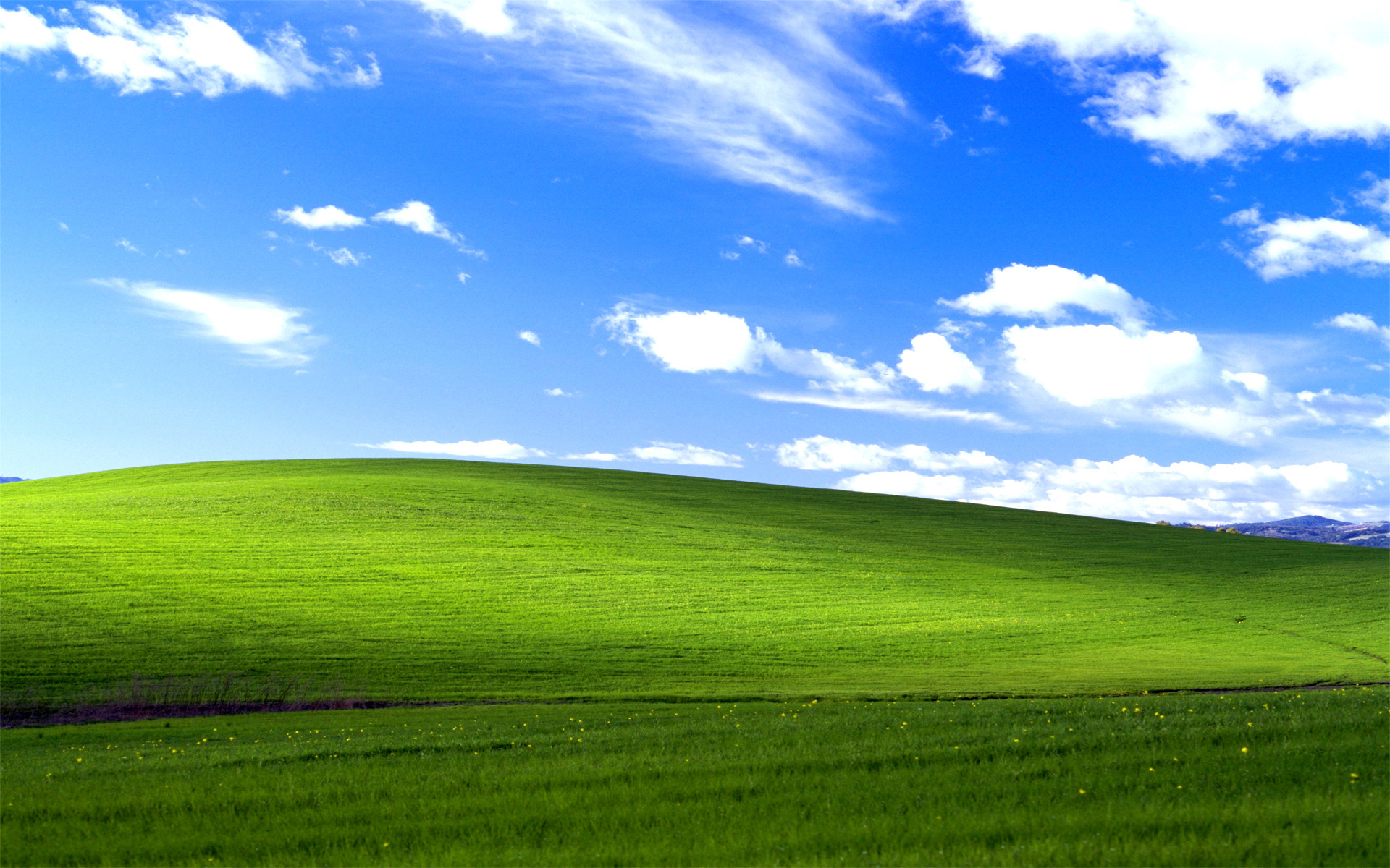 Windows Xp Bliss-wide