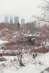 Central Park Winter