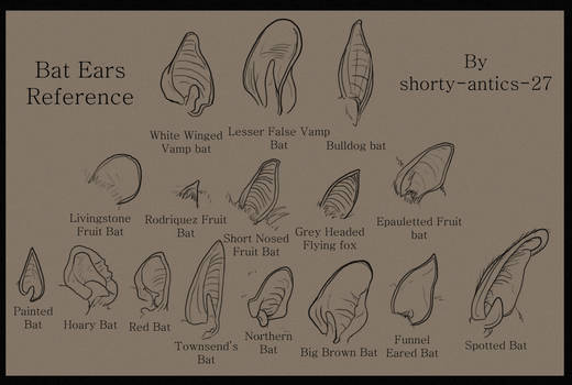 Bat Ear Reference