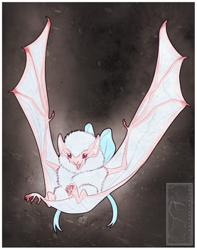 Little White Batbat