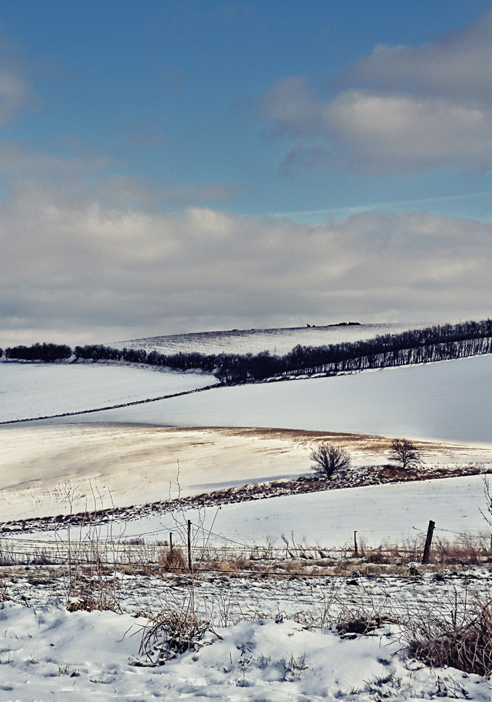 Snowscape