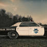 Police Cruiser 555-0123