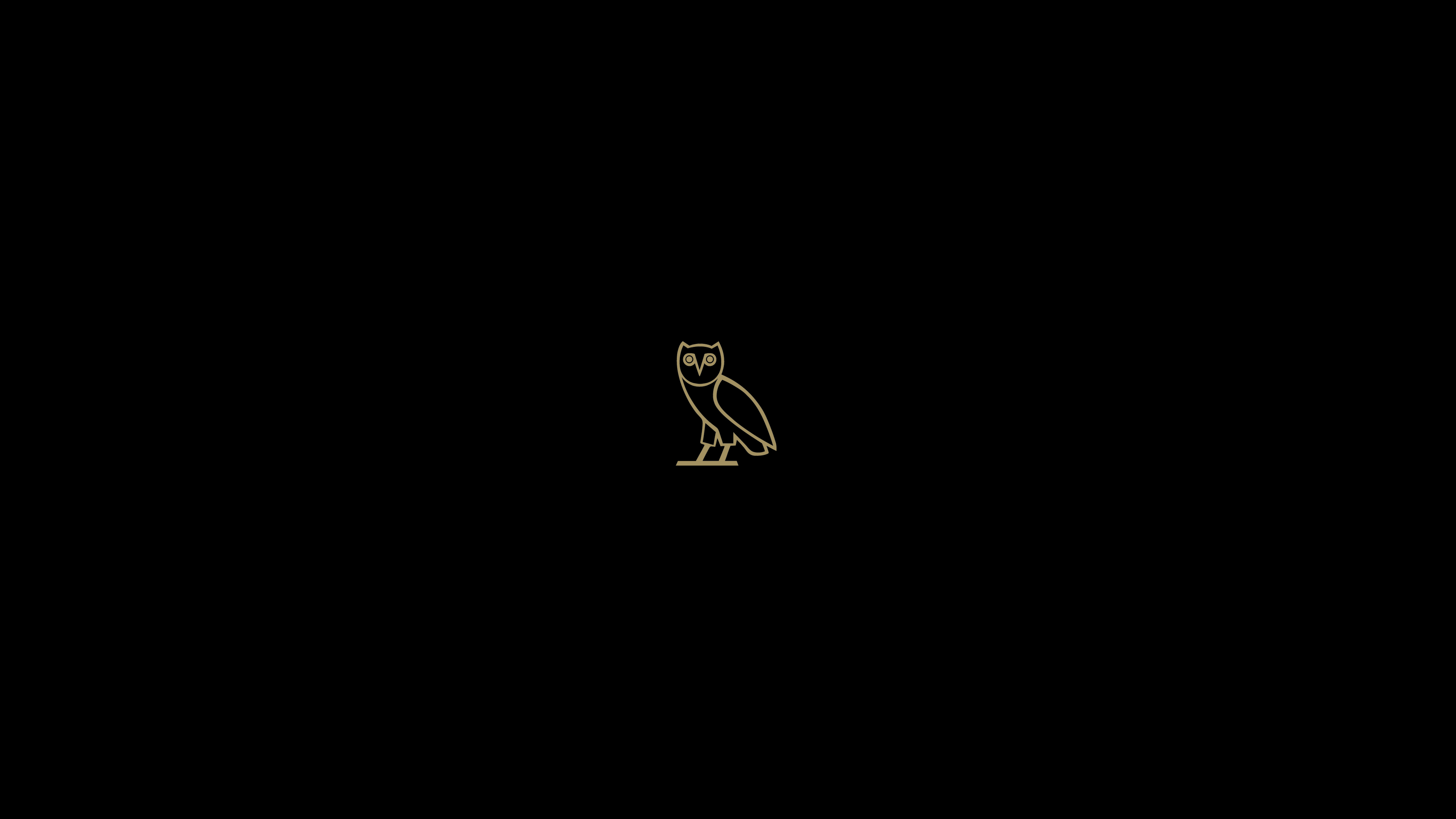 OvO Owl Wallpaper 4k