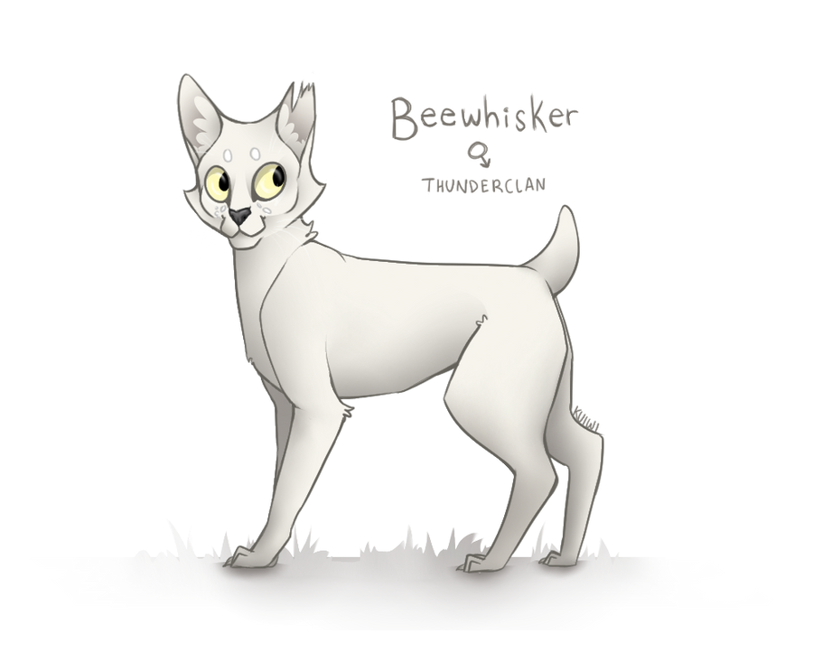 Warriors OC - Beewhisker