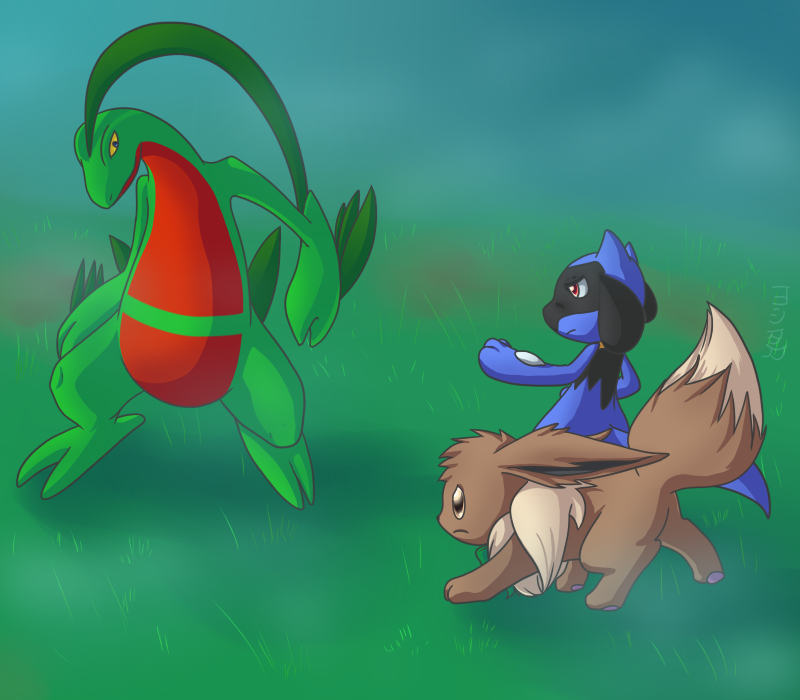 vs. Grovyle