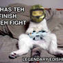Funny Cat-Halo3