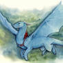 Saphira