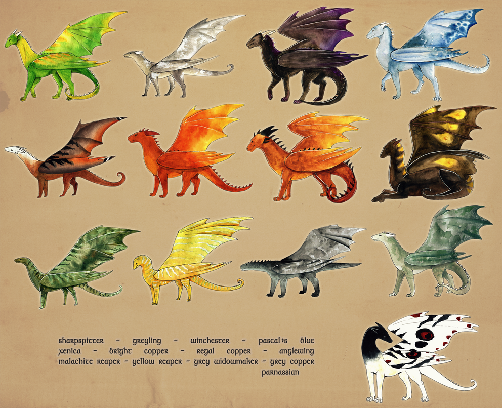 Temeraire Breeds incomplete by persian-pirate on DeviantArt.