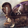 Irizea