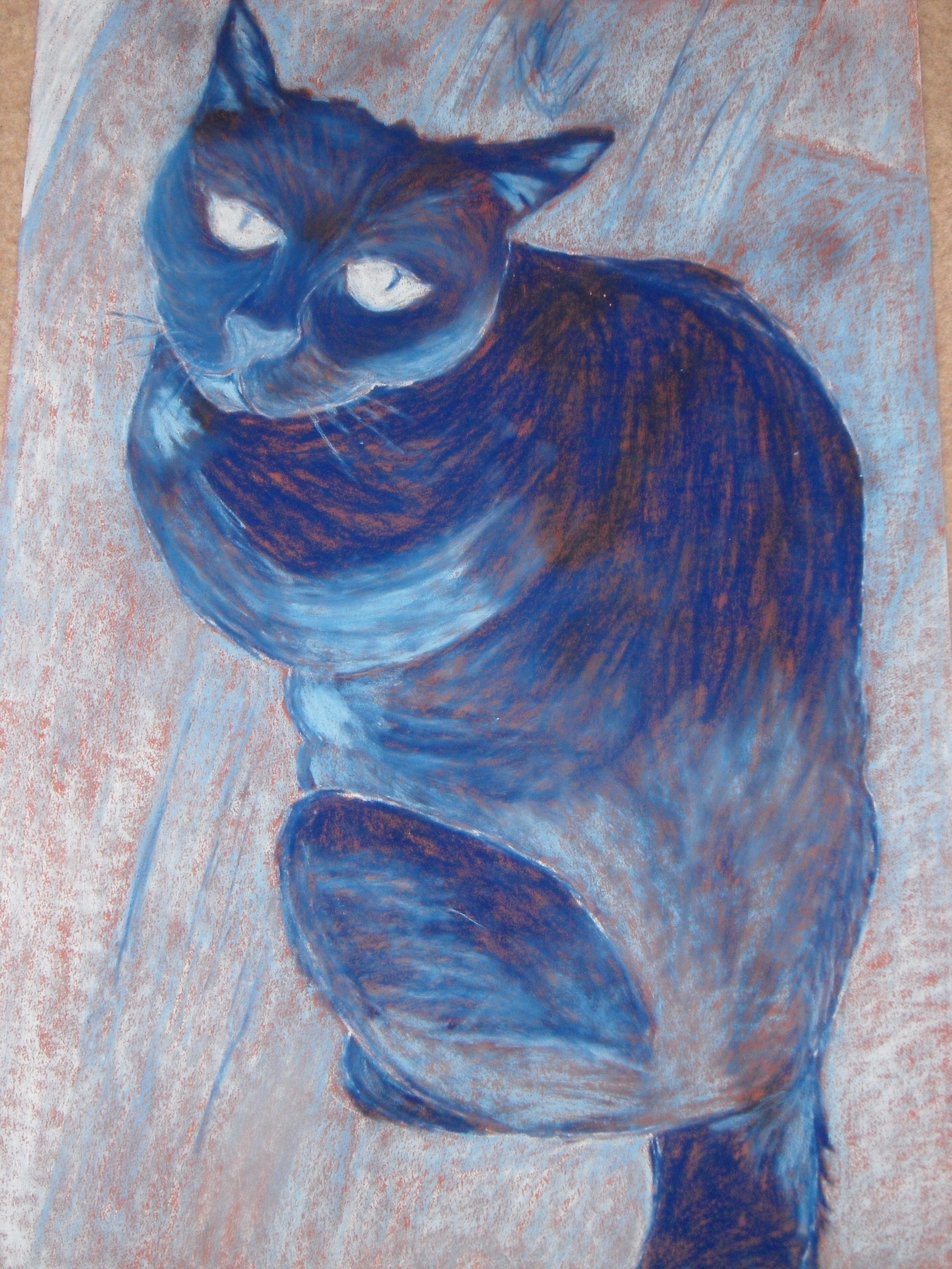 Blue chalk cat