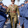 Honor Guard Inspection