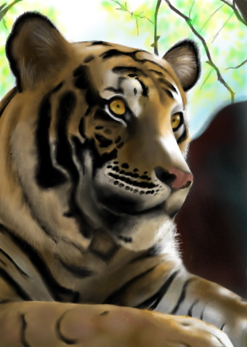 Tiger :D