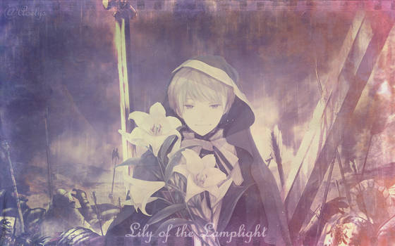 Lily of the Lamplight